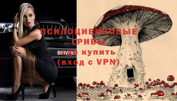 мяу мяу мука Алексеевка