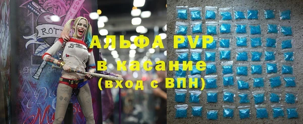 сатива Алзамай