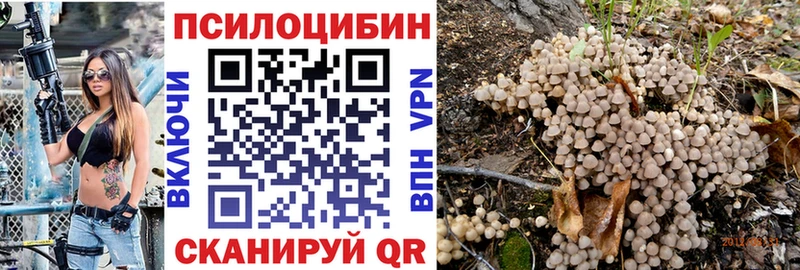 где можно купить наркотик  Фурманов  Псилоцибиновые грибы ЛСД 